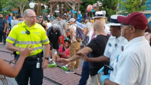 ¡Pelea familiar en Disneyland!