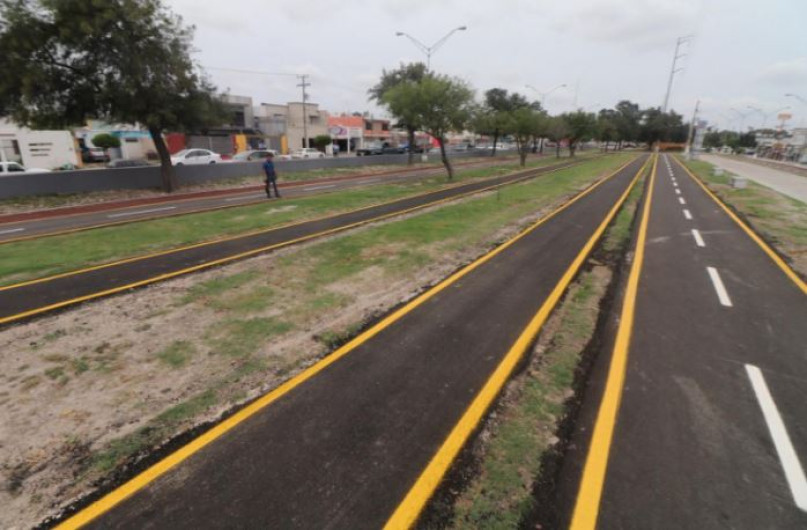 Preparan reforestación en Matamoros, hay 10 mil árboles disponibles