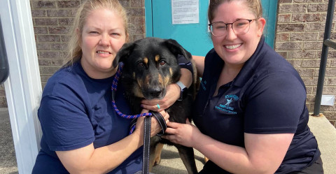 Perrito es abandonado porque creían que era gay