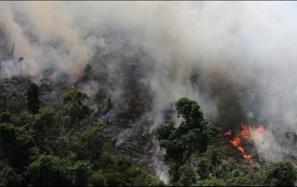 Chile ofrece su ayuda para combatir el incendio en el Amazonas
