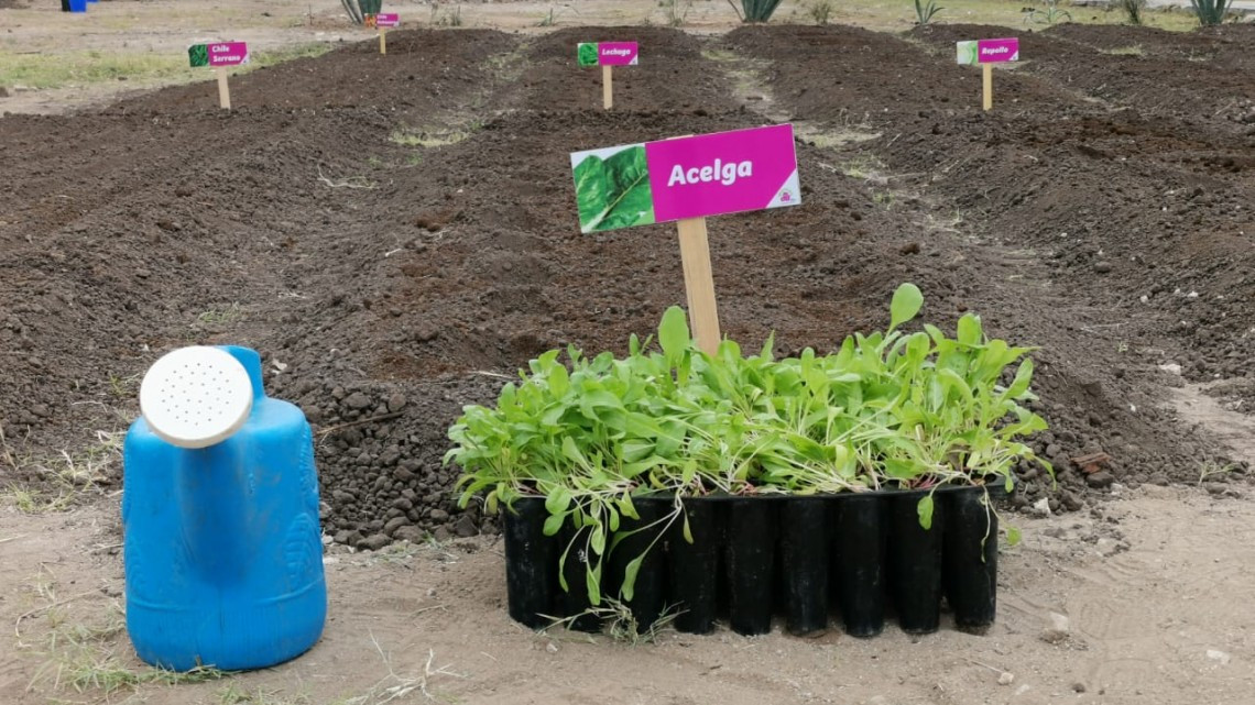 Arranca Programa de Reforestación en escuelas