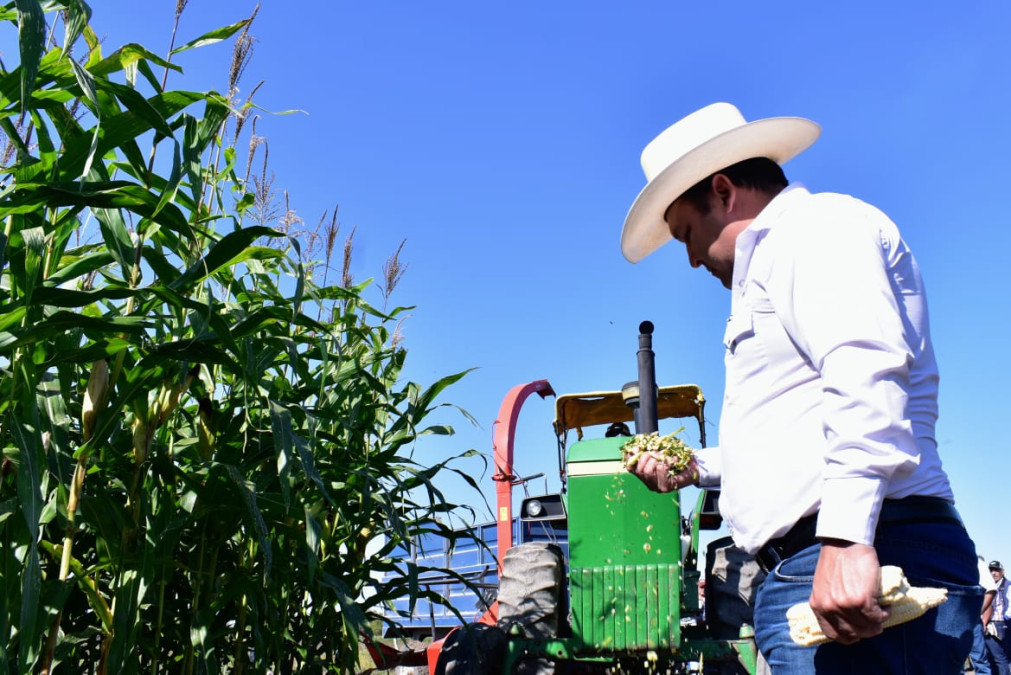 Desarrollo Rural apoyará proyectos que fomenten la cultura del ensilaje