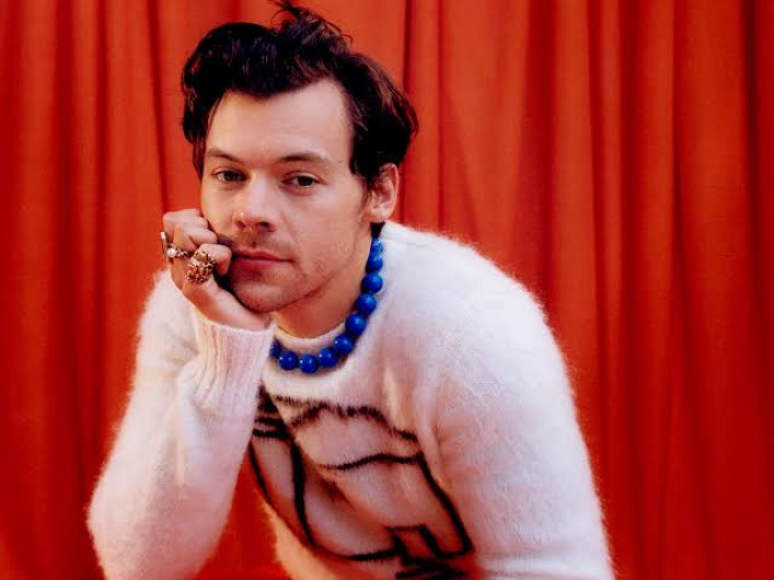 Mujer brasileña es condenada a prisión por acosar a Harry Styles