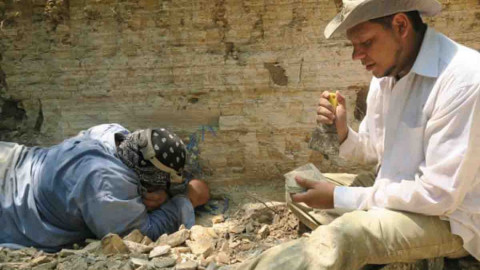 Descubren extraños fósiles de peces en El Salvador 