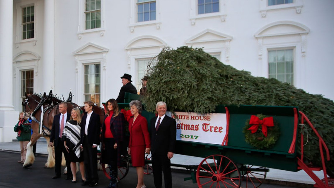 El primer árbol navideño de la familia Trump en la Casa Blanca