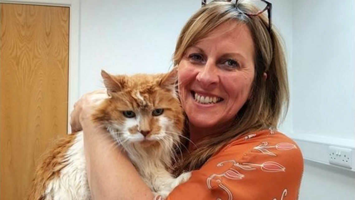 Este gatito cumplió ¡30 años!