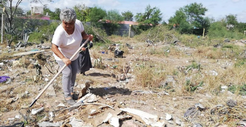 Obligarán a dueños de predios baldíos a limpiarlos
