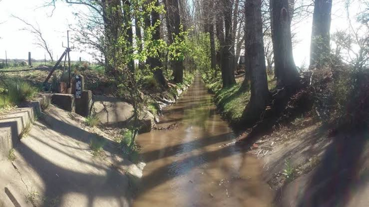 Oficiales detienen temporalmente búsqueda de un hombre que supuestamente desapareció en canal de Mercedes