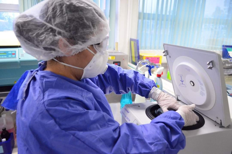 Tamaulipas registra 256 nuevos casos de COVID-19 