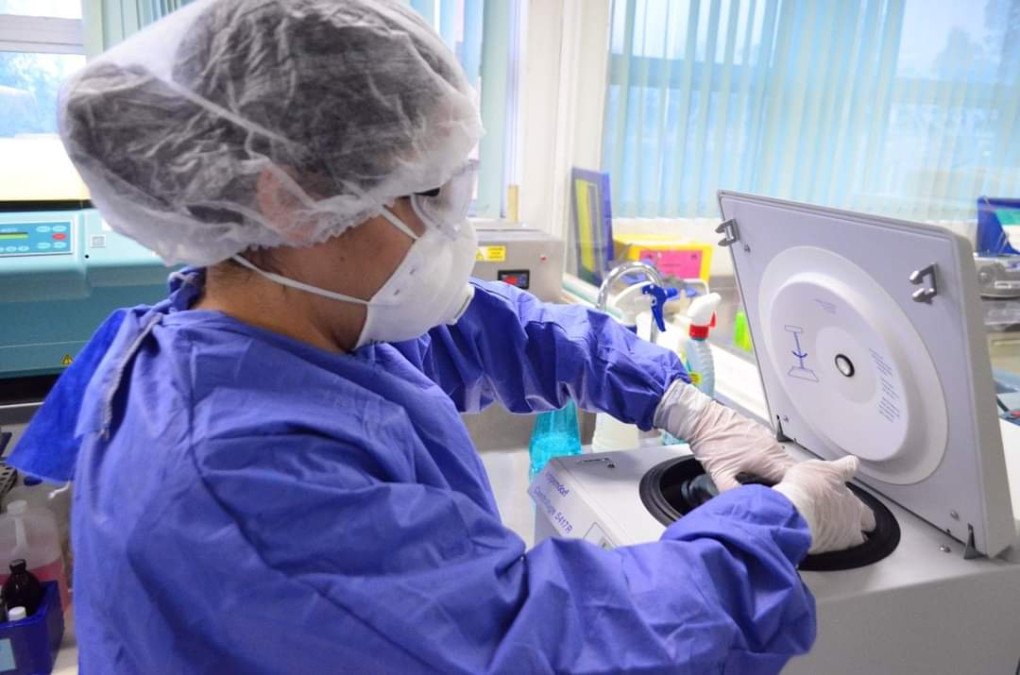 Tamaulipas registra 256 nuevos casos de COVID-19 