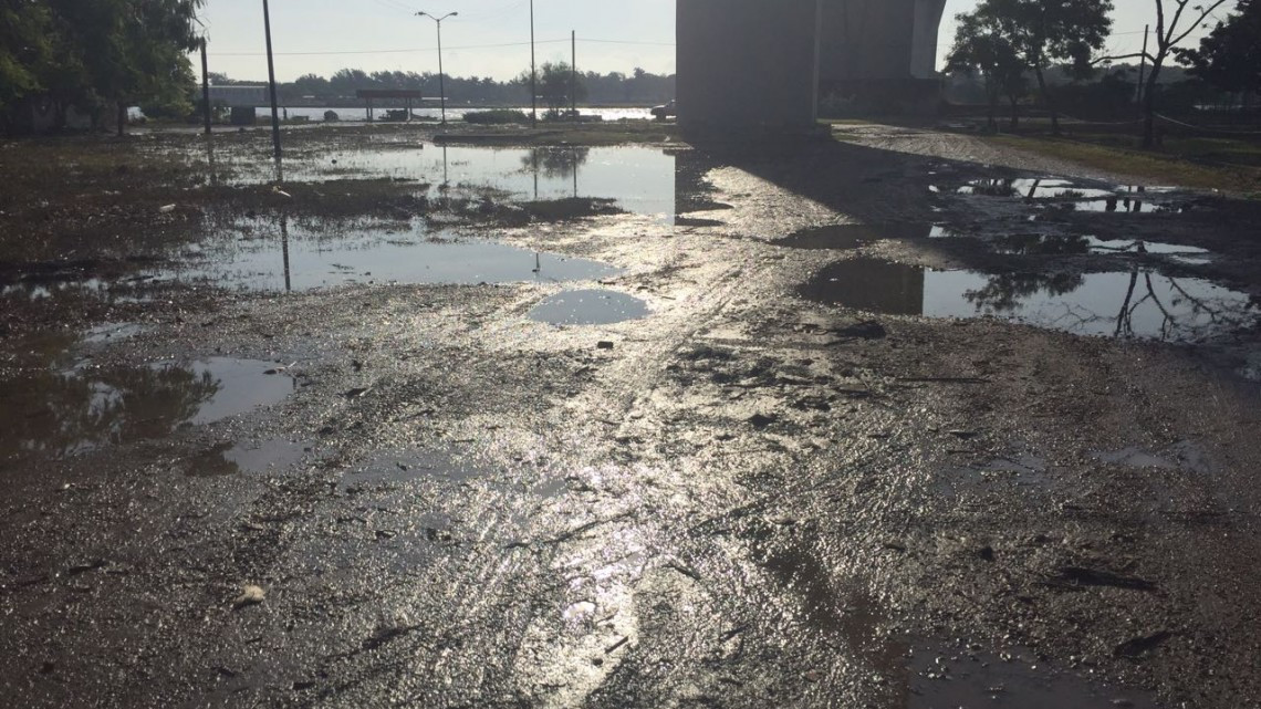 "La gente no se quiere salir de sus casas": Alcaldesa de Tampico 