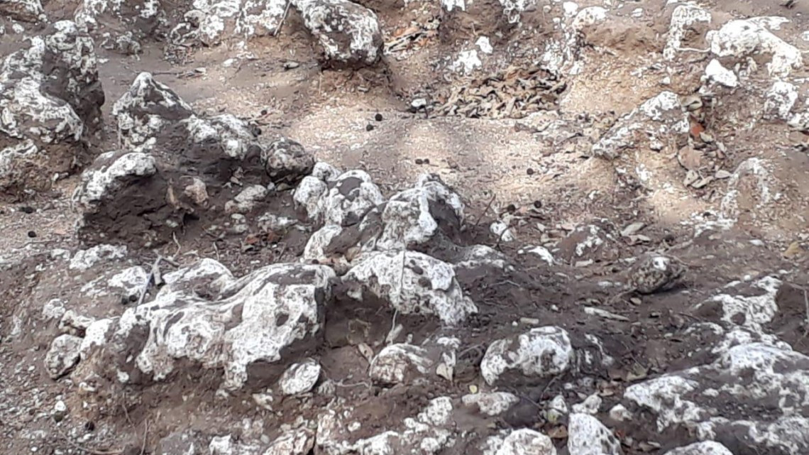 En Altamira siguen surgiendo a la luz más hallazgos arqueológicos