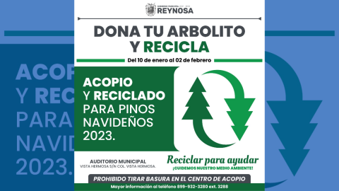 Activan Centro de Acopio de pinos navideños 