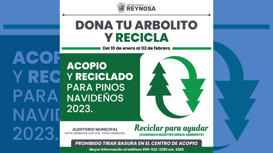 Activan Centro de Acopio de pinos navideños 
