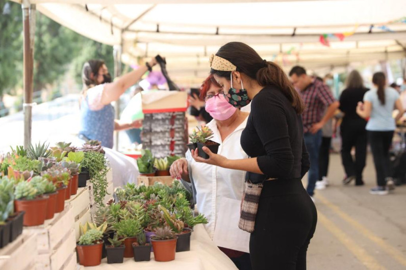 Convivan a emprendedores locales a participar en el Bazar Primavera 