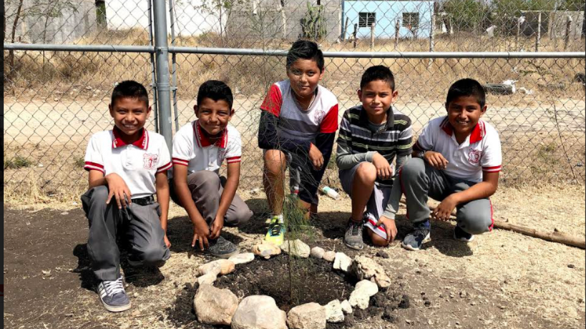 Fomentan valores en los niños mediante actividades de reforestación
