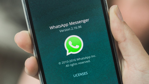 ¡Falla en WhatsApp! No permite ver última hora de conexión