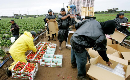 Extiende EU un año y medio los permisos de trabajos a migrantes