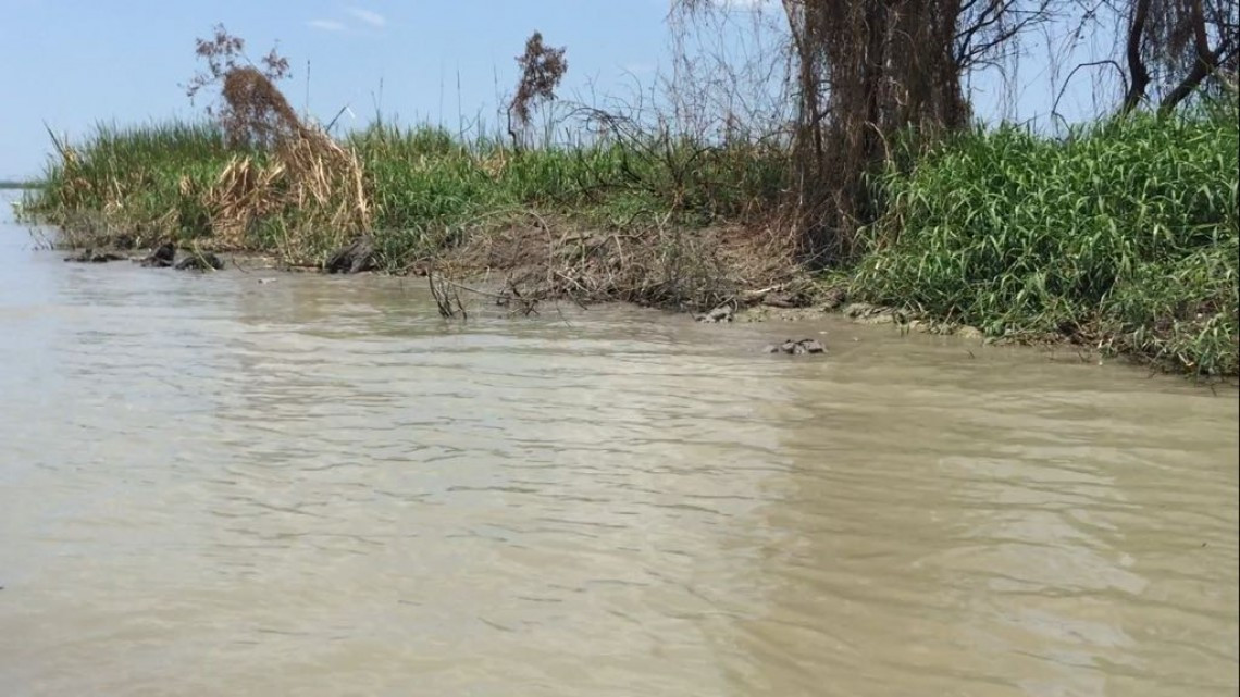 Necesario proyecto de dragado en laguna de Champayán