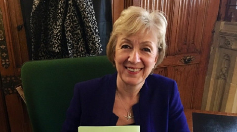 Ministra británica renuncia al Parlamento