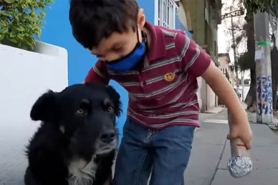 Niño se hace viral por entrevistar a un perrito en la calle