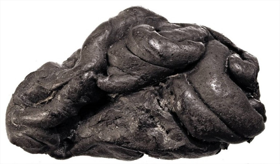 Descubren rastros de ADN humano en un chicle de hace 6000 años