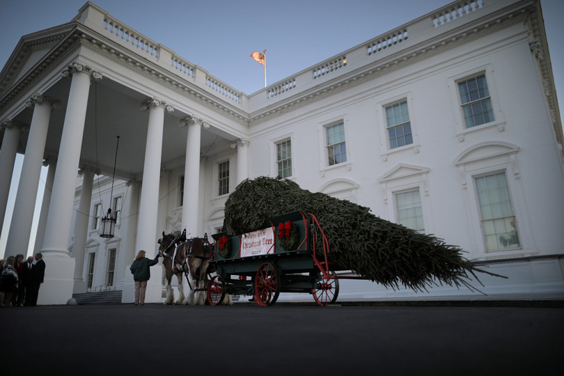 El primer árbol navideño de la familia Trump en la Casa Blanca