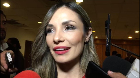 7 independientes continúan en la búsqueda de una curul: IETAM