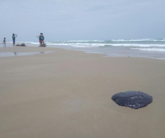 Aparecen manchas de petróleo en Playa Miramar 