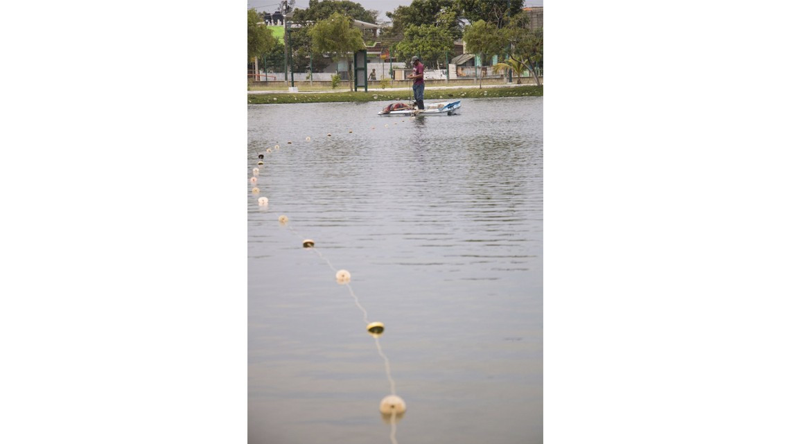 Realizan acciones para proteger tortugas y aprovechar peces del Parque Bicentenario