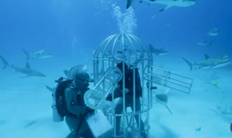 Youtuber indaga si tiburones prefieren la sangre humana