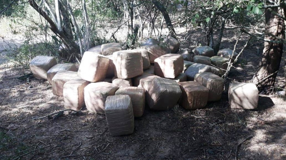 Asegura Policía Estatal 235 kilogramos de Marihuana
