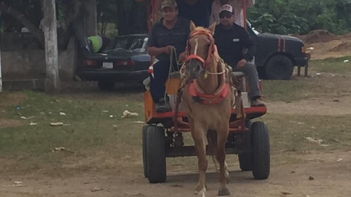 La COEPRIS revisa carnicerías en busca que se cumplan las normas sanitarias