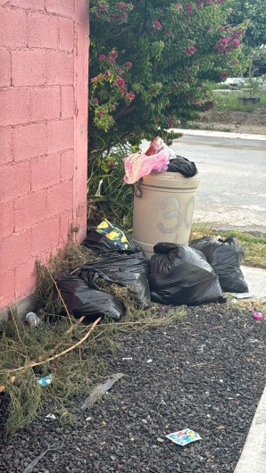 Pide municipio paciencia por retraso en recolección de basura tras inundaciones