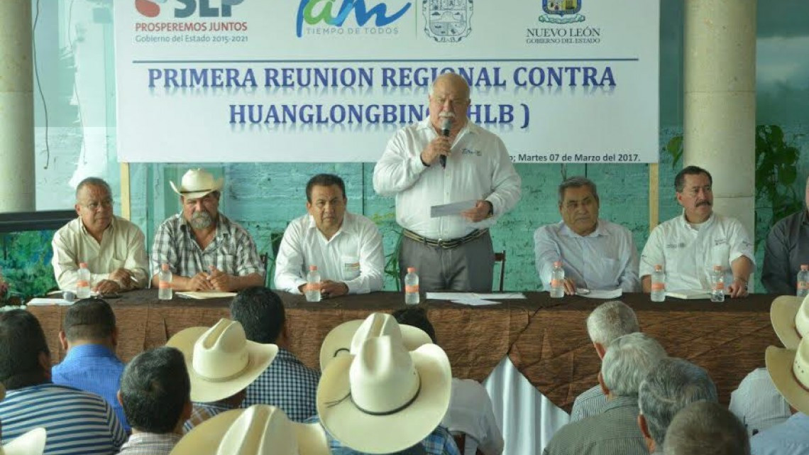 Primera Reunión Regional Contra el Huanglonbing es realizada