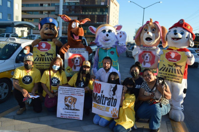 Para proteger animales piden frenar uso de pirotecnia