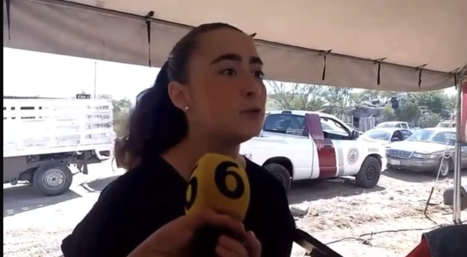 Desparasita Bienestar Animal a Más de 100 mascotas por semana