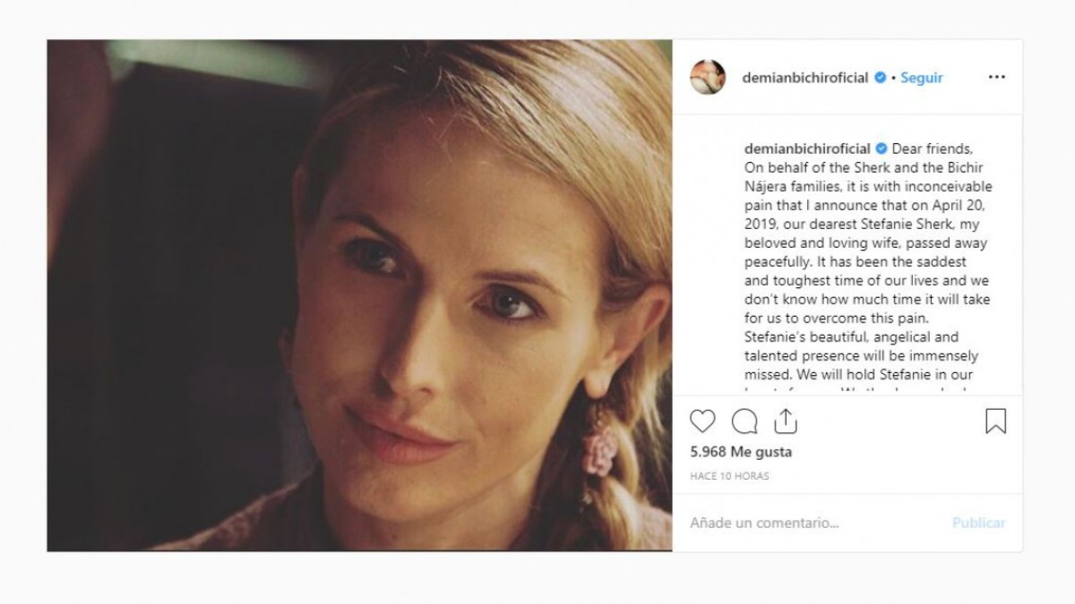 Confirma Demián Bichir la muerte de su esposa, Stefanie Sherk