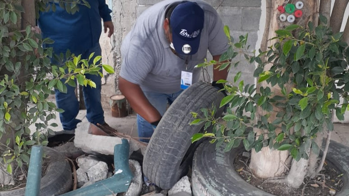 Intensifica Tamaulipas acciones simultáneas contra COVID-19, dengue y sarampión