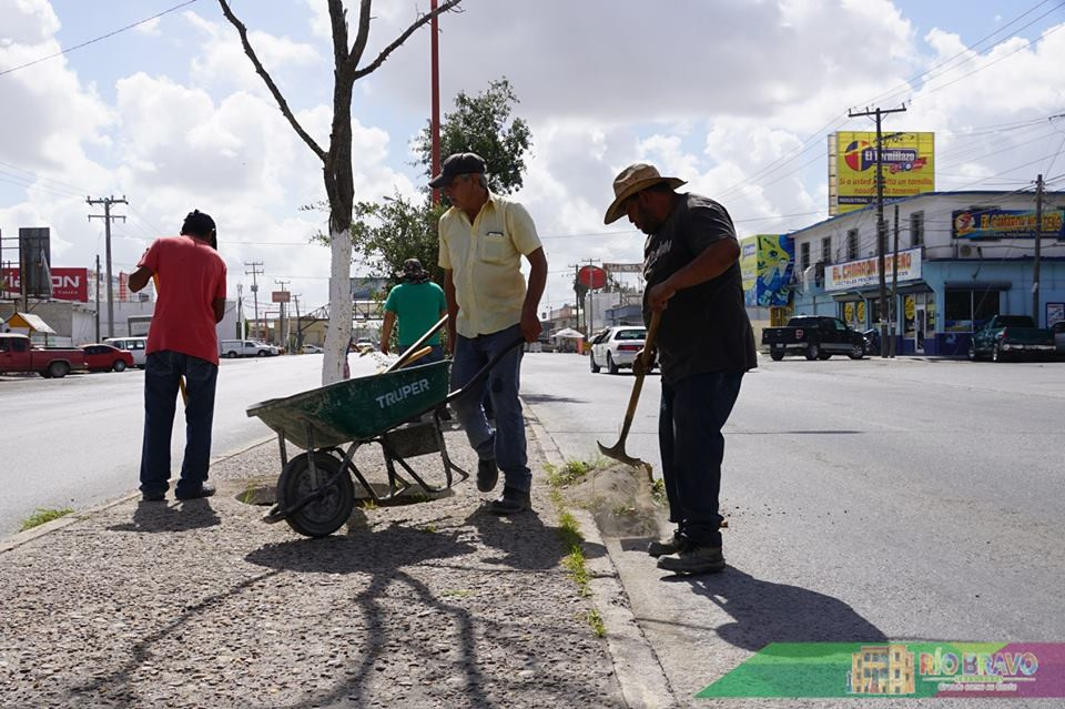 Cuadrillas realizan labores de limpieza