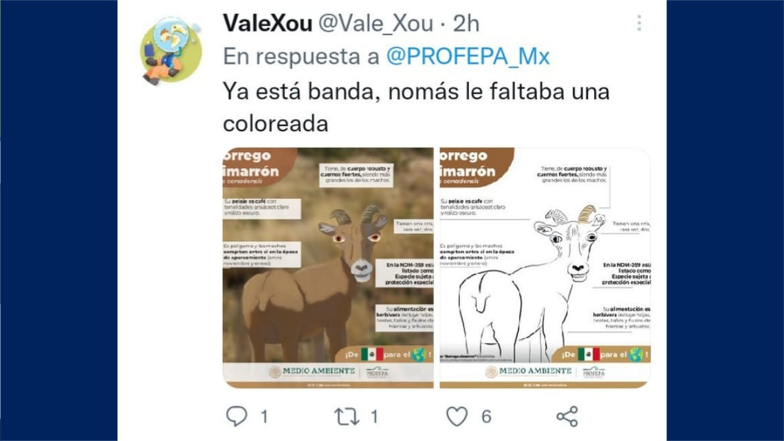Tunden a la Profepa en redes por sus diseños de flora y fauna mexicana