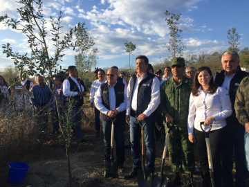 GOAN entregaría mañana contrapropuesta contra el INSABI