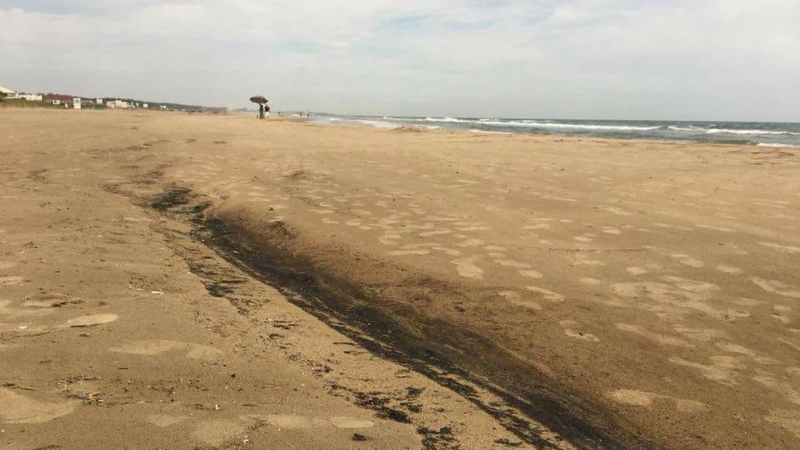 Aparece gran mancha de chapo en playa Miramar