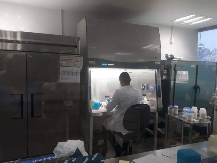 Confirman 143 nuevos casos y 17 defunciones asociadas a coronavirus 
