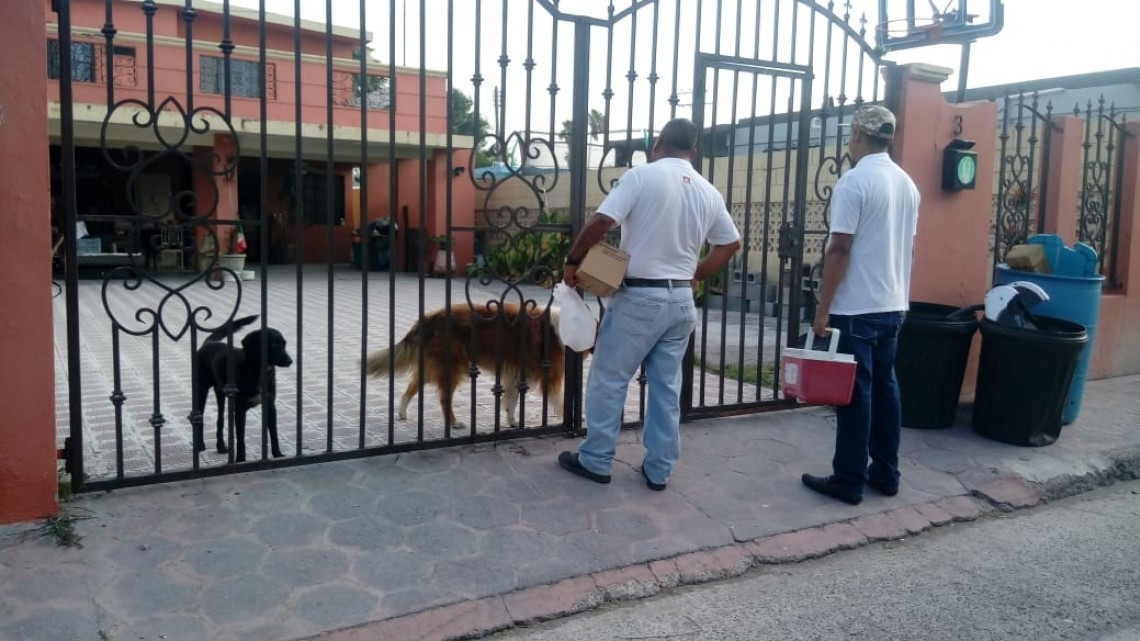 Establecen cerco sanitario contra pulgas y garrapatas
