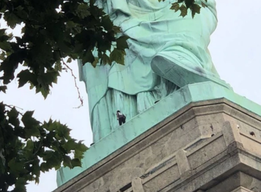 Manifestante escala la Estatua de la Libertad