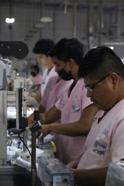 Mantiene Tamaulipas alta ocupación laboral y fortalece empleos dignos con políticas de transformación social