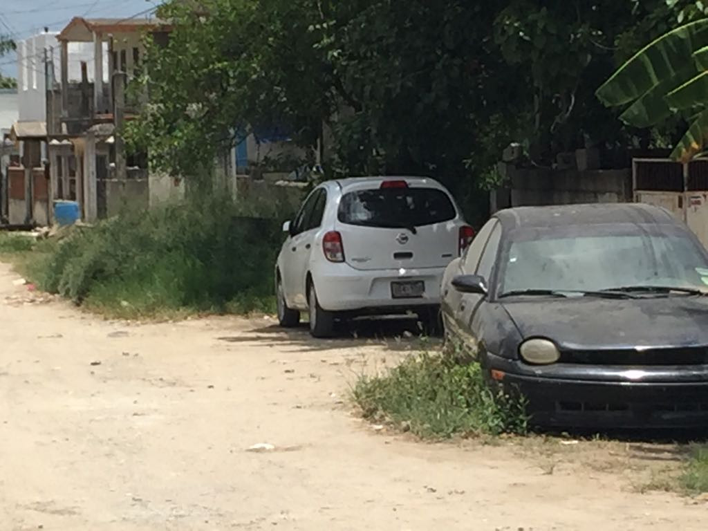 Autoridades aseguran que es baja la incidencia de dengue en Altamira