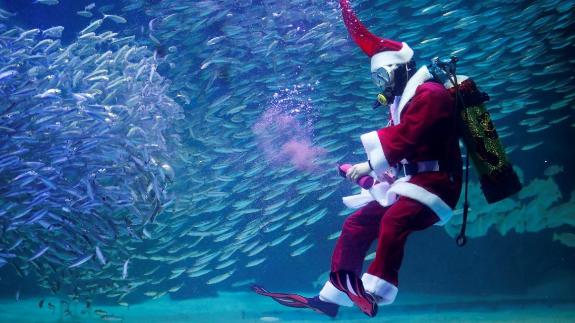 Buzos disfrazados de Santa brillan en acuarios del mundo