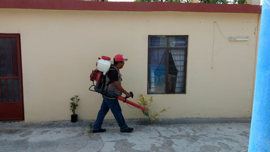 Estado intensifica prevención contra dengue, zika y chikungunya 